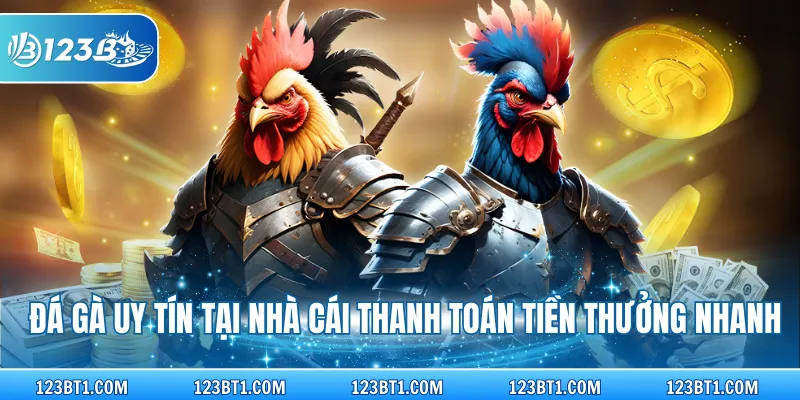 Đá gà uy tín tại nhà cái thanh toán tiền thưởng nhanh