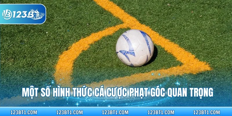 Một số hình thức cá cược phạt góc quan trọng
