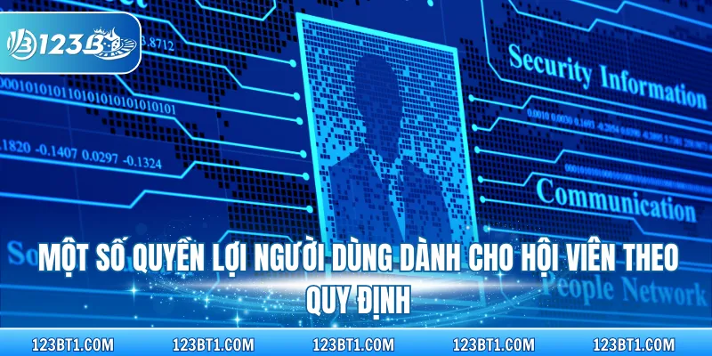 Một số quyền lợi người dùng dành cho hội viên theo quy định