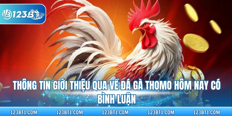 Thông tin giới thiệu qua về đá gà thomo hôm nay có bình luận