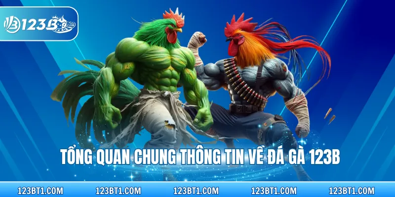 Tổng quan chung thông tin về đá gà 123B